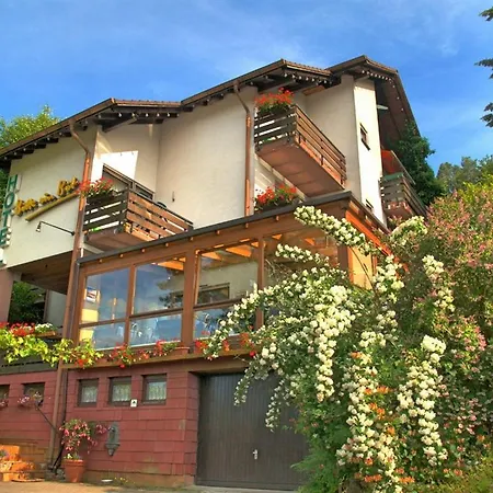 Guest house Gaestehaus Heller 3*